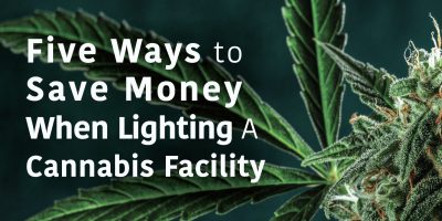 Five Ways to Save Money Lighting Cannabis Facility